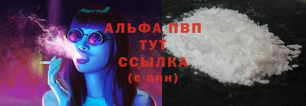 PSILOCYBIN Алзамай