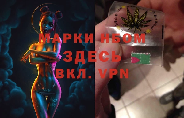 PSILOCYBIN Алзамай